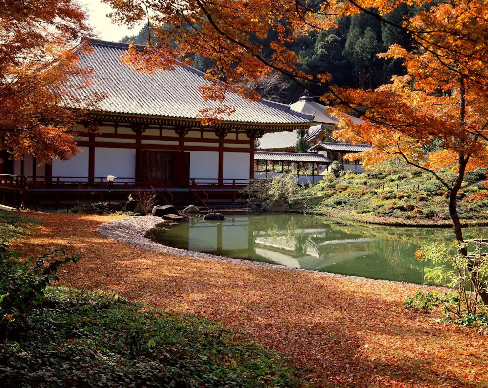 🌸 오랜 평화의 절 (큐안지) 이미지 4